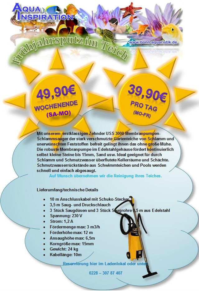 Fruehlingsputz