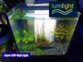 LumLight Röhren-Ersatz Aqua LED Styl Light 210mm 3 x cool white Dimmbar / IP68 LumLight Röhren-Ersatz Aqua LED Styl Light 210mm 3 x cool white Dimmbar / IP68